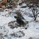 Illustration for article titled Aftermath Photos of F-18 Crash Show How Lucky Everyone Was
